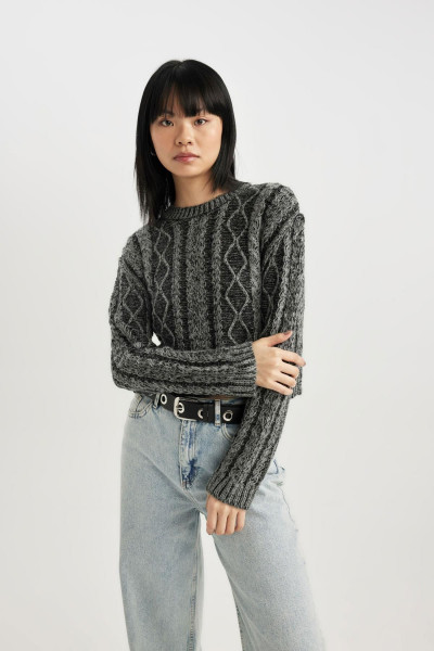 Regular Fit Bisiklet Yaka Triko Kazak C1518ax23wn Regular Fit Bisiklet Yaka Triko Kazak C1518ax23wn