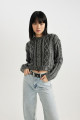 Regular Fit Bisiklet Yaka Triko Kazak C1518ax23wn Regular Fit Bisiklet Yaka Triko Kazak C1518ax23wn