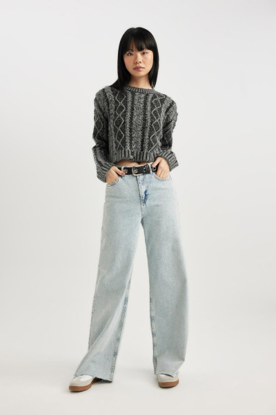 Regular Fit Bisiklet Yaka Triko Kazak C1518ax23wn Regular Fit Bisiklet Yaka Triko Kazak C1518ax23wn