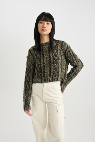 Regular Fit Bisiklet Yaka Triko Kazak C1518ax23wn Regular Fit Bisiklet Yaka Triko Kazak C1518ax23wn