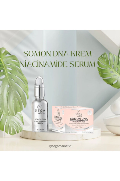 Somon Dna Krem  Niacinamide Serum Somon Dna Krem  Niacinamide Serum