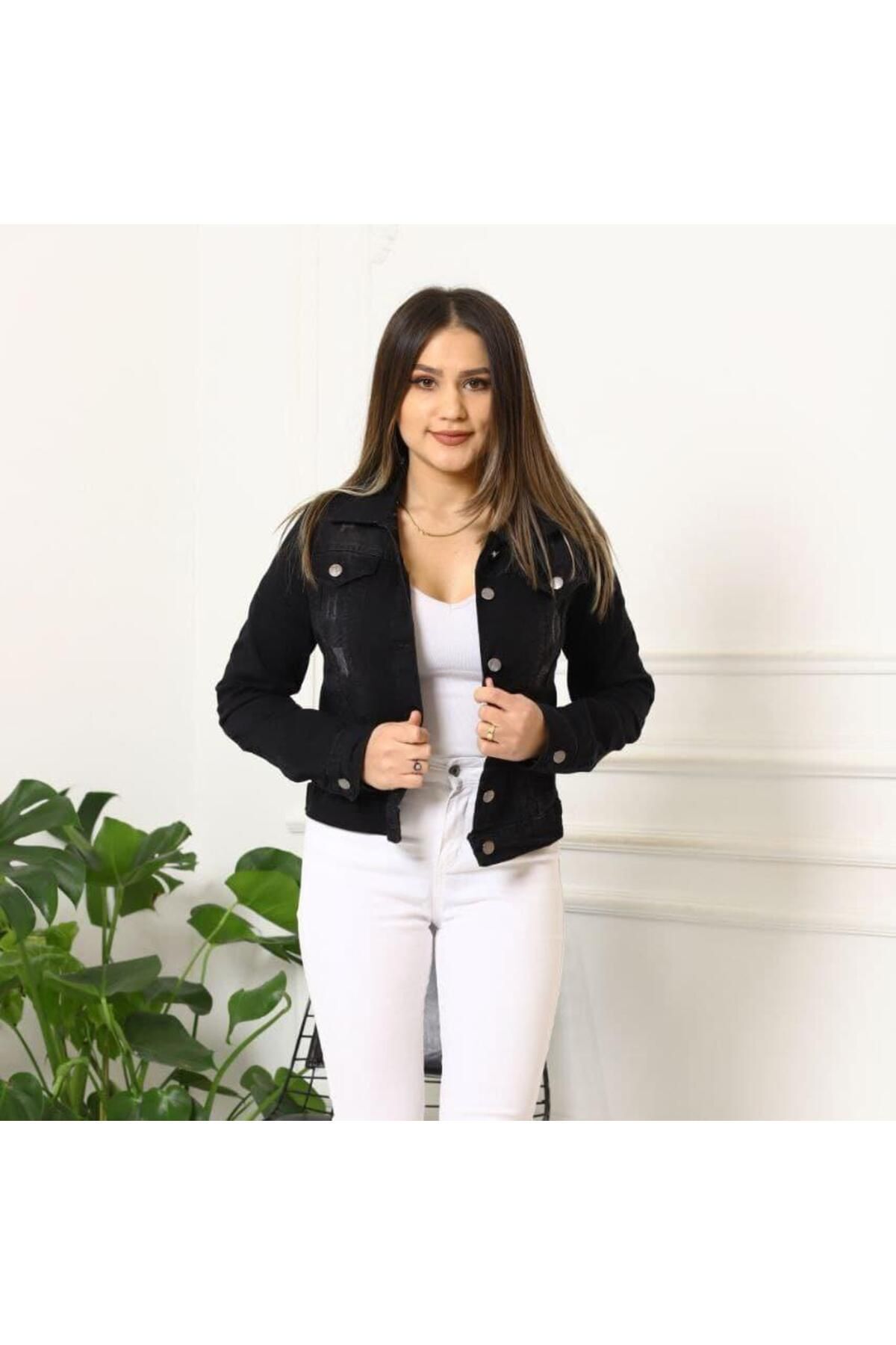 KOT CEKET KOT CEKET