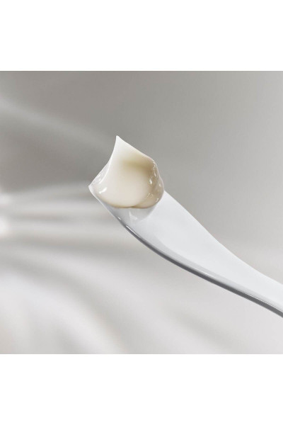 The Moisturizing Fresh Cream - Nemlendirici Krem 60 ml The Moisturizing Fresh Cream - Nemlendirici Krem 60 ml