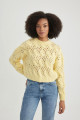Oversize Fit Bisiklet Yaka Ajur Kazak B8623ax23cw Oversize Fit Bisiklet Yaka Ajur Kazak B8623ax23cw