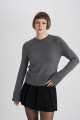 Regular Fit Bisiklet Yaka Triko Kazak C1886ax23wn Regular Fit Bisiklet Yaka Triko Kazak C1886ax23wn