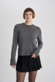 Regular Fit Bisiklet Yaka Triko Kazak C1886ax23wn Regular Fit Bisiklet Yaka Triko Kazak C1886ax23wn