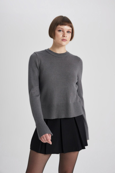 Regular Fit Bisiklet Yaka Triko Kazak C1886ax23wn Regular Fit Bisiklet Yaka Triko Kazak C1886ax23wn