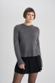 Regular Fit Bisiklet Yaka Triko Kazak C1886ax23wn Regular Fit Bisiklet Yaka Triko Kazak C1886ax23wn