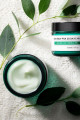 Aha Bha Pha 30 Days Miracle Cream (KORENDY) Onarıcı Centella Kremi 60gr Aha Bha Pha 30 Days Miracle Cream (KORENDY) Onarıcı Centella Kremi 60gr