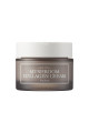Mushroom Collagen Cream (KORENDY) (ELASTİKİYET ARTIRICI %30 VEGAN KOLAJENLİ KREM) 50ml Mushroom Collagen Cream (KORENDY) (ELASTİKİYET ARTIRICI %30 VEGAN KOLAJENLİ KREM) 50ml