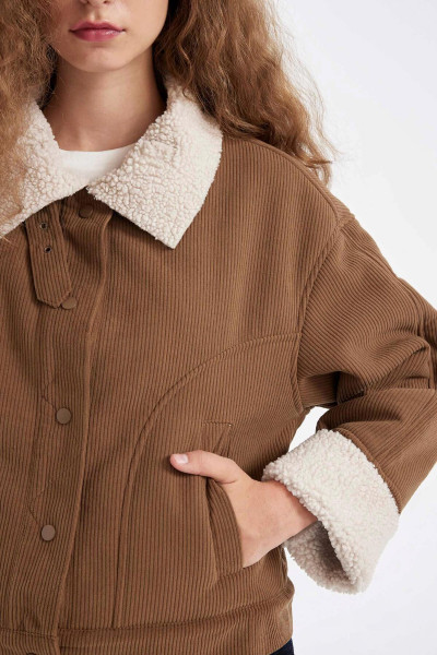 Regular Kalıp Kadife Mont Polo Yaka Çıtçıtlı Içi Suni Kürklü Ceket C5156ax24wn Regular Kalıp Kadife Mont Polo Yaka Çıtçıtlı Içi Suni Kürklü Ceket C5156ax24wn