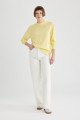 Regular Fit Bisiklet Yaka Basic Triko Kazak C0058ax23wn Regular Fit Bisiklet Yaka Basic Triko Kazak C0058ax23wn
