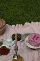 Pembe Jolanda Pötikare Elbise ATE-1079 Pembe Jolanda Pötikare Elbise ATE-1079