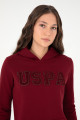 Kadın Bordo Basic Kapüşonlu Sweatshirt 50296931-vr014