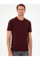 Bordo Slim Fit Basic Tişört 50306359-VR014