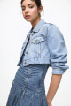 Crop Denim Ceket